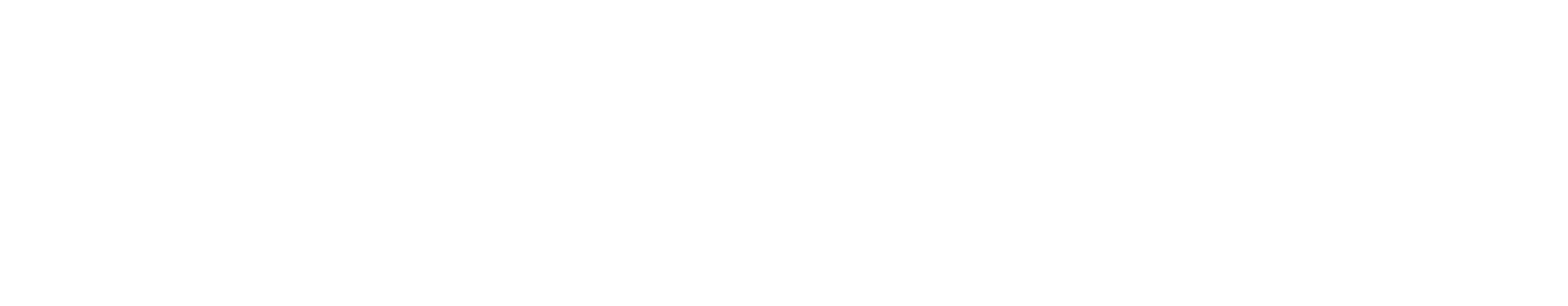 Commvault Partner