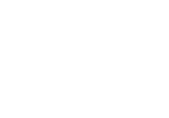 Salesforce Partner